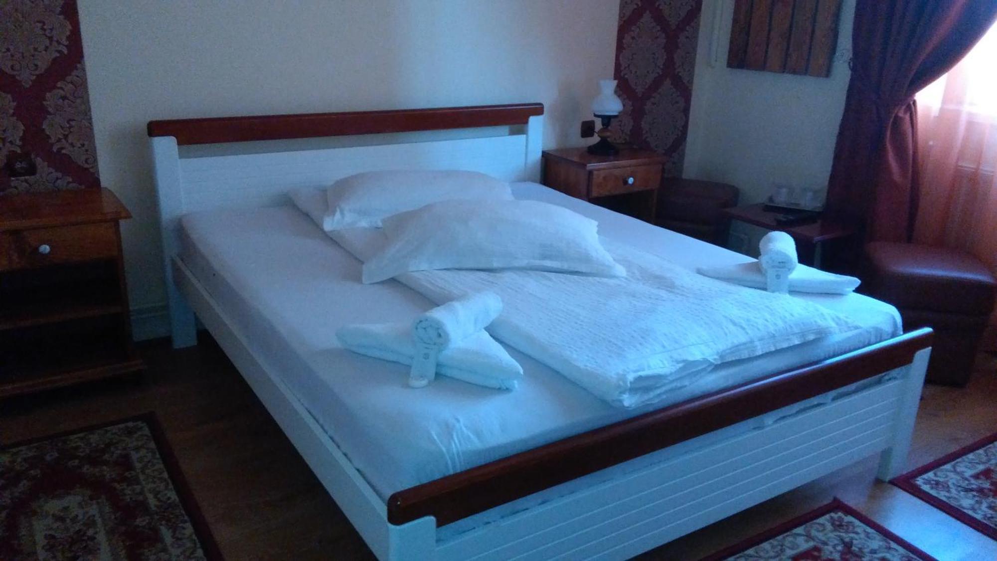 Vila Nicoleta Hotel Sibiu Buitenkant foto