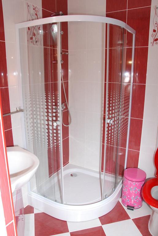 Vila Nicoleta Hotel Sibiu Buitenkant foto