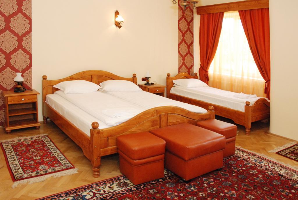 Vila Nicoleta Hotel Sibiu Buitenkant foto
