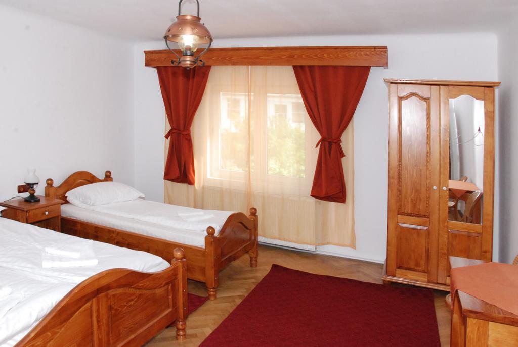 Vila Nicoleta Hotel Sibiu Buitenkant foto