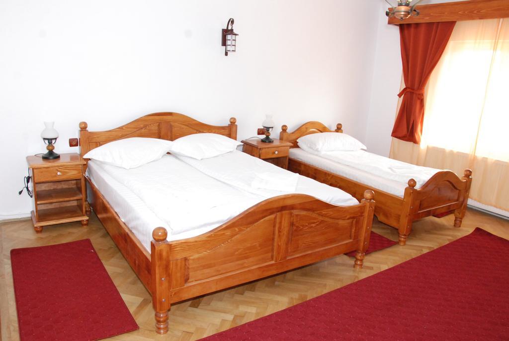 Vila Nicoleta Hotel Sibiu Buitenkant foto